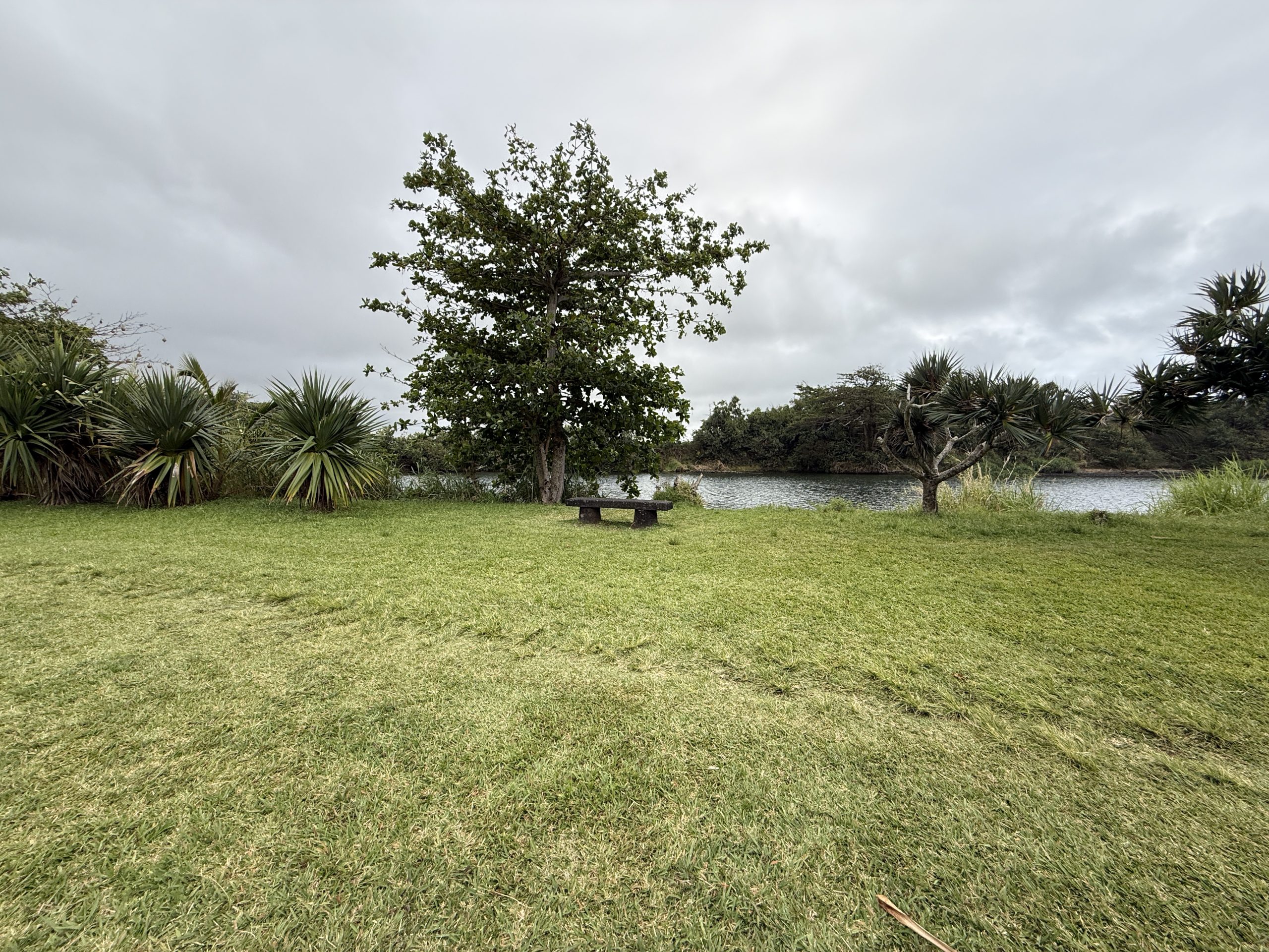 Parc Boisé - vue 2